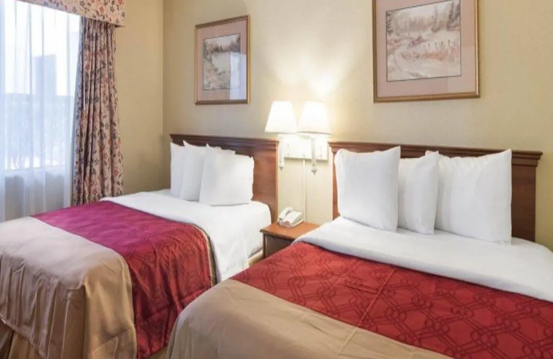 Econo Lodge Inn And Suites Arlington-1