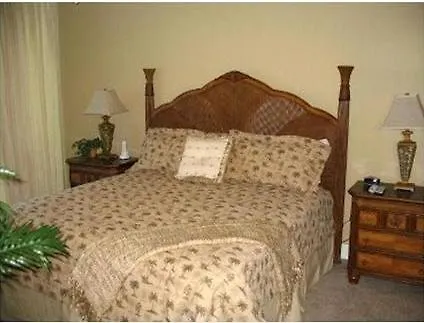 San Carlos By Youngs Sun Coast-1