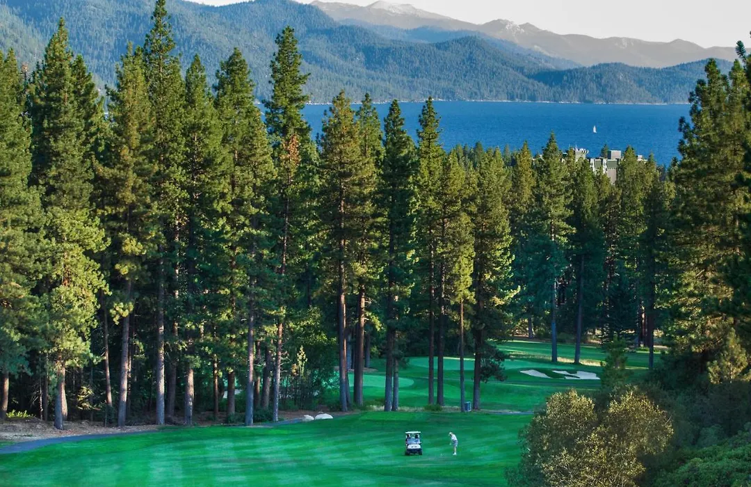 North Tahoe Nest-1