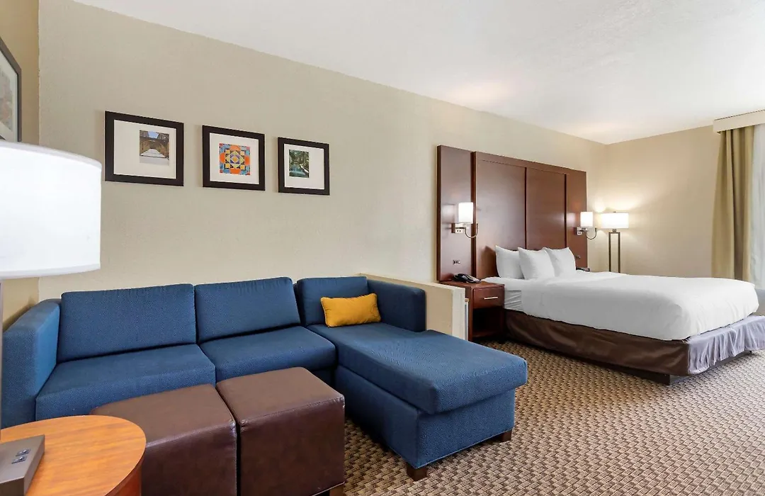 Comfort Inn & Suites Near Six Flags & Medical Center-1