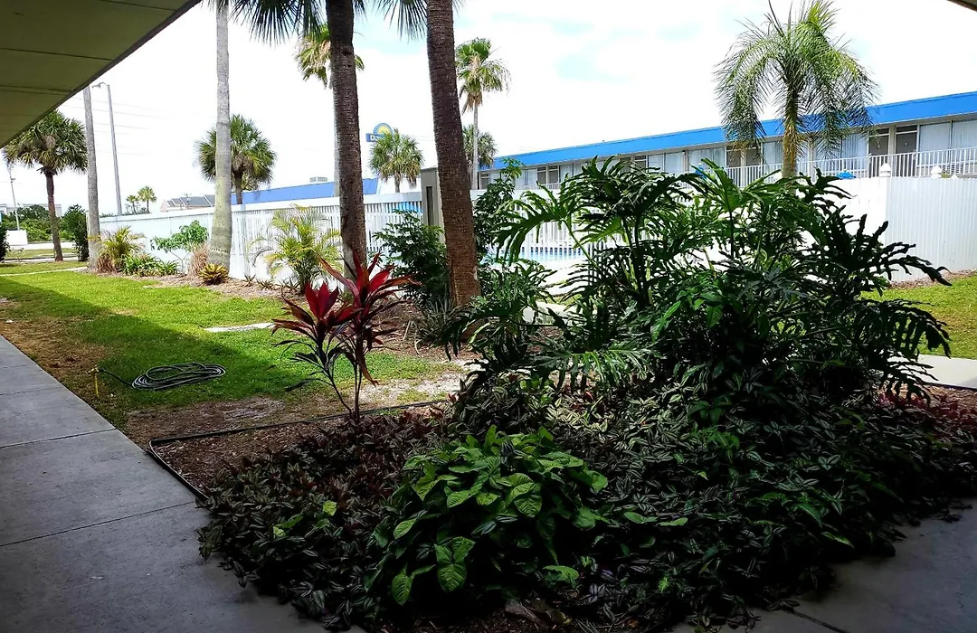 Days Inn By Wyndham Titusville Kennedy Space Center-1