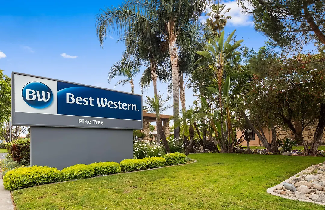 Best Western Pine Tree Motel-1