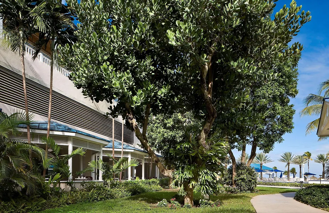 Melia Nassau Beach-1