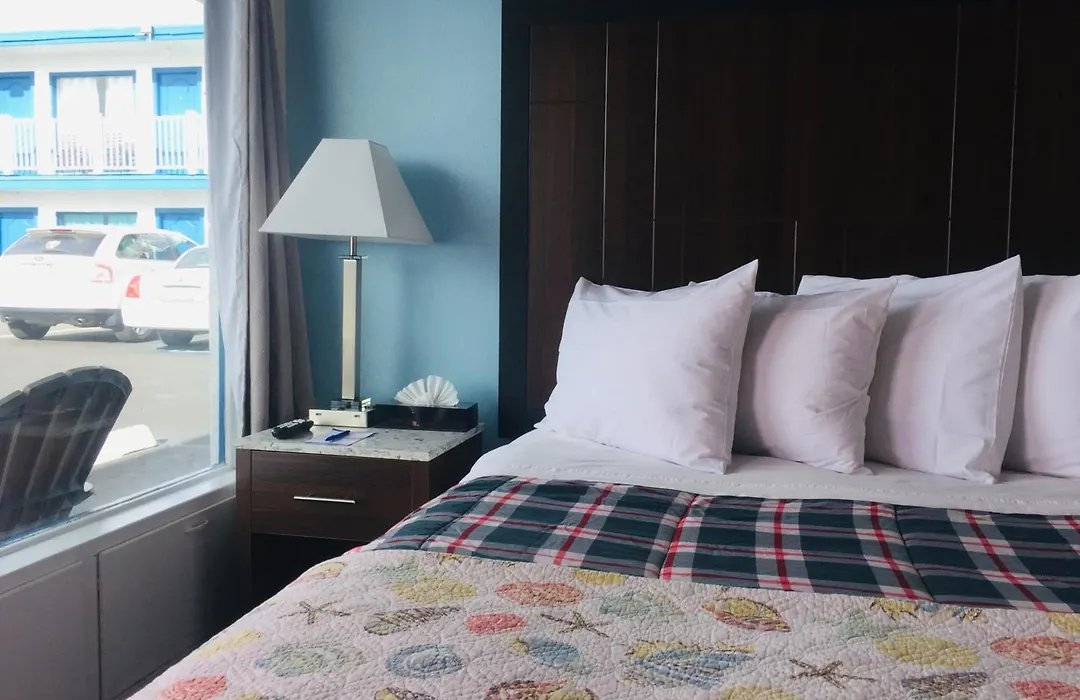 Dolphin Cove Motel-1