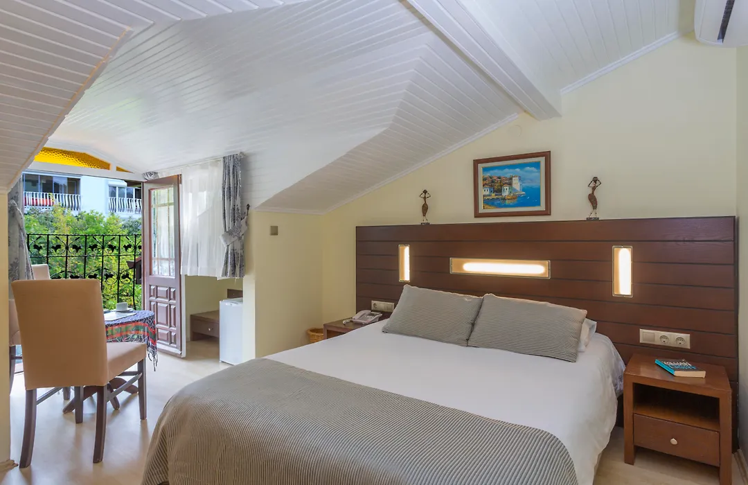 Hotel Villa Daffodil-1