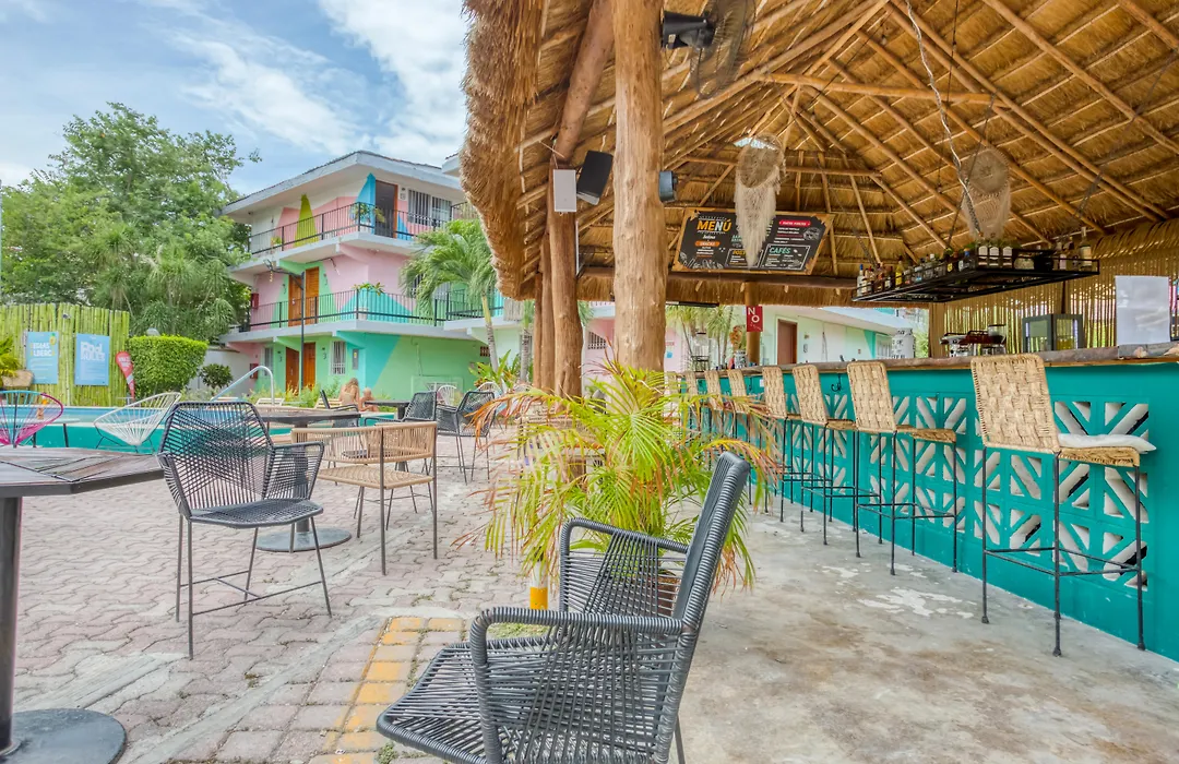 Nilu Cancun Downtown By Selina-1