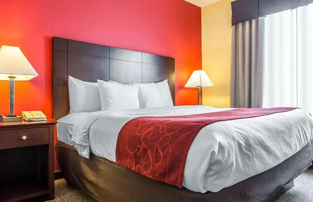 Comfort Suites Rock Hill Manchester Meadows Area-1