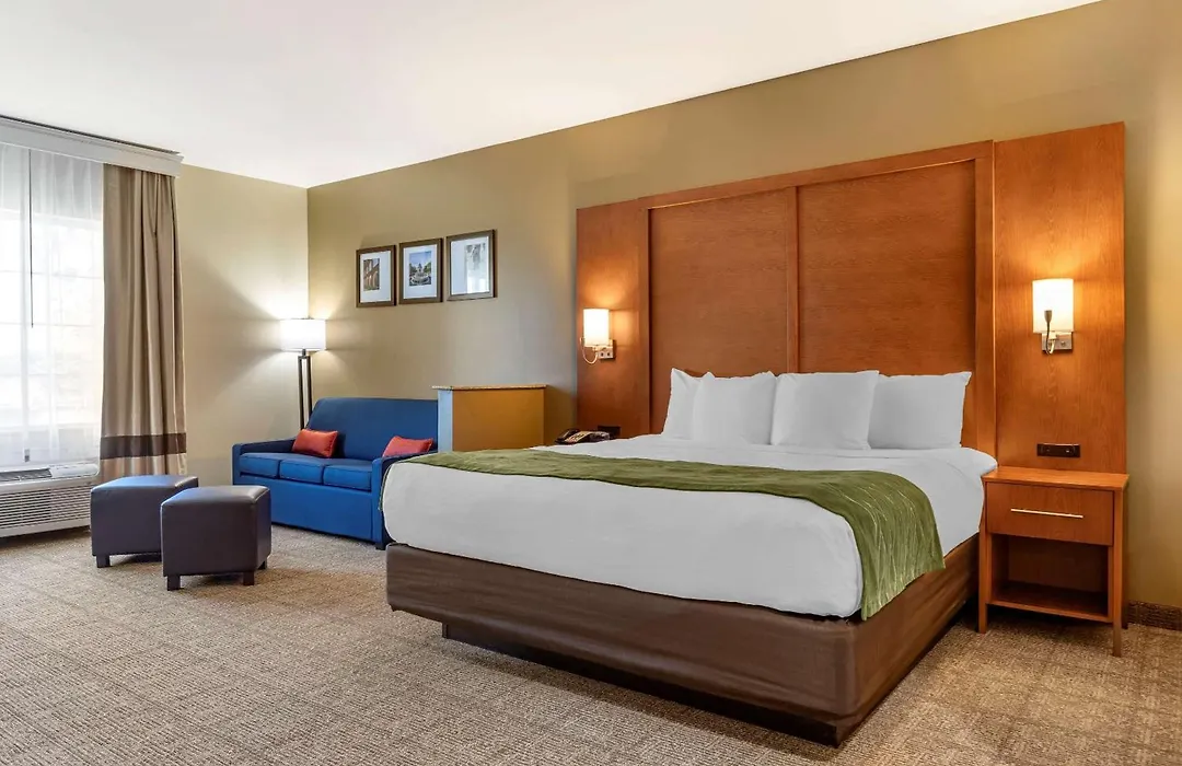 Comfort Inn & Suites Orangeburg-1