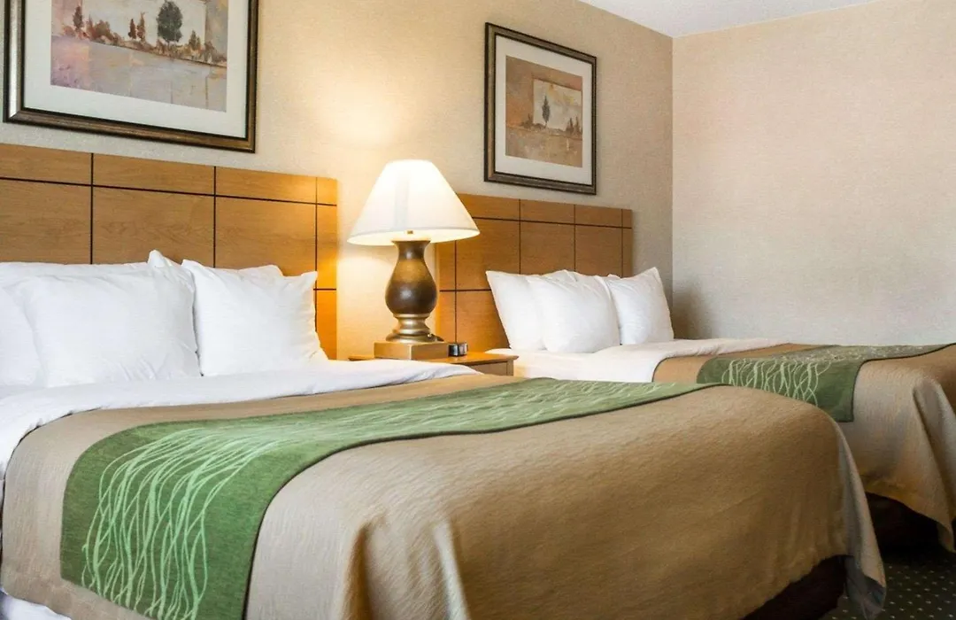 Comfort Inn Jamestown South-1
