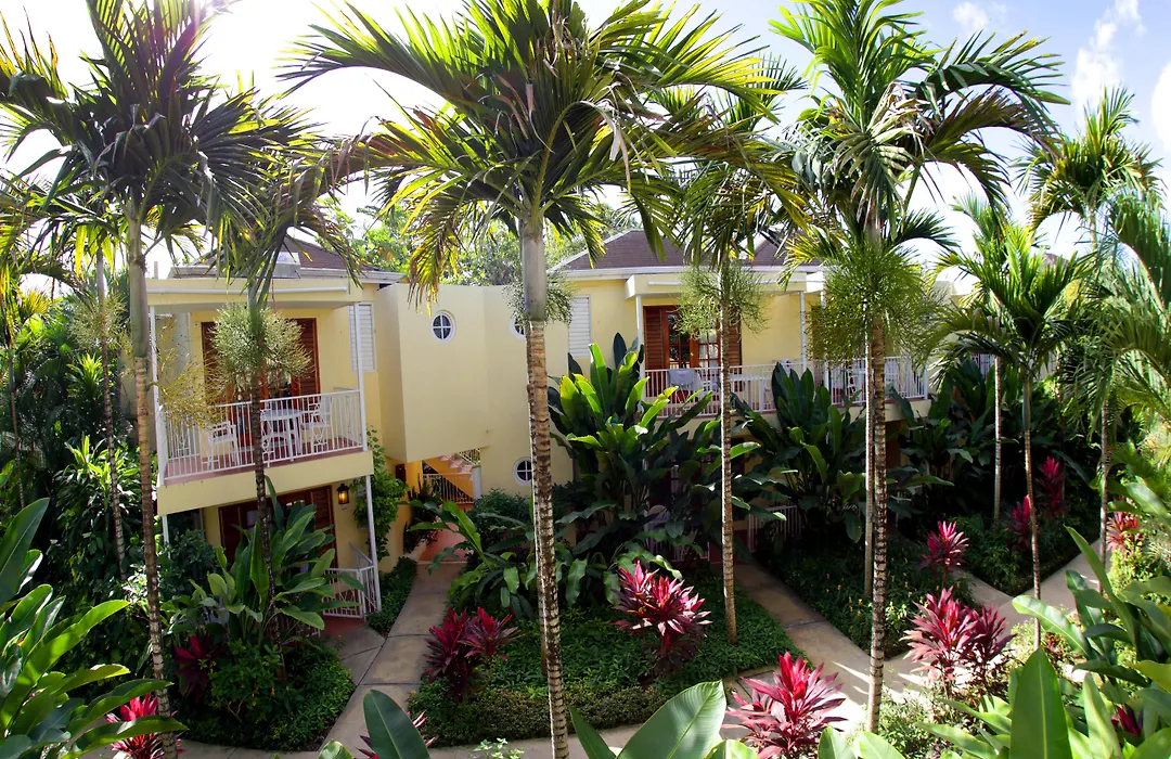Negril Palms-1