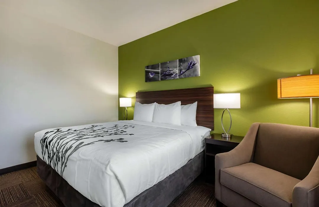 Sleep Inn & Suites Tampa South-1