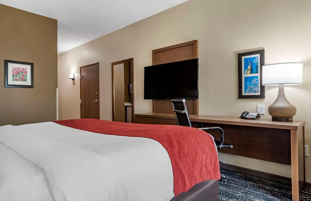 Comfort Inn & Suites Downtown Near University-1