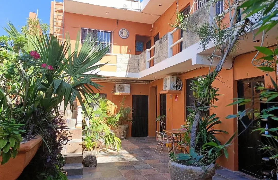 El Ultimo Maya-1