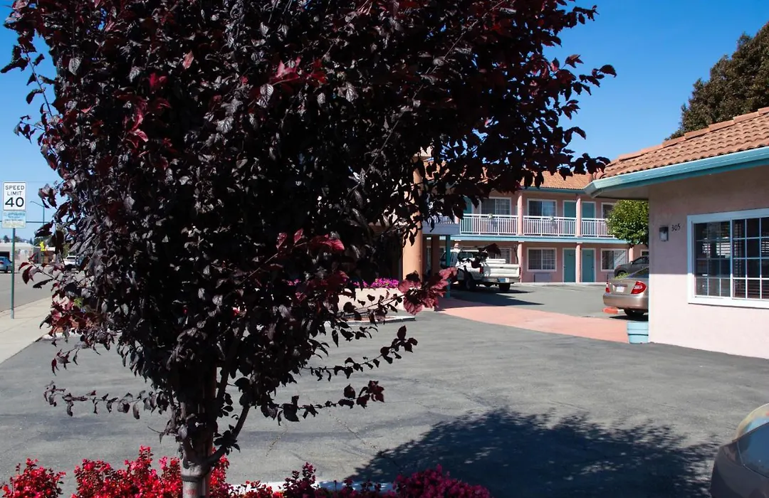 Discovery Inn-1