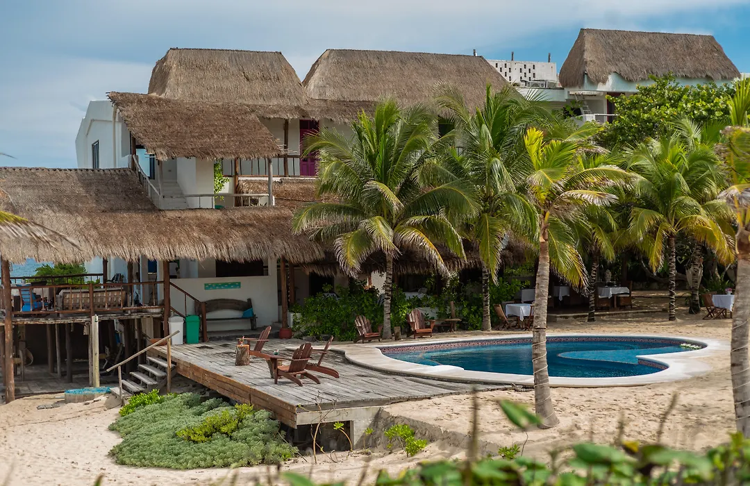 Ventanas Al Mar Beach Front Cozumel (Adults Only)-1
