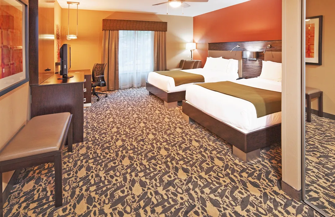 Holiday Inn Express & Suites North Dallas At Preston By Ihg-1