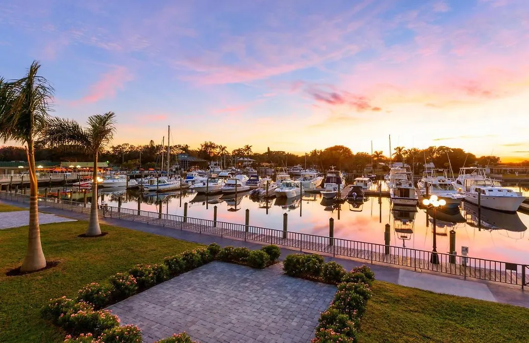 Marina Vibes - Sarasota-1