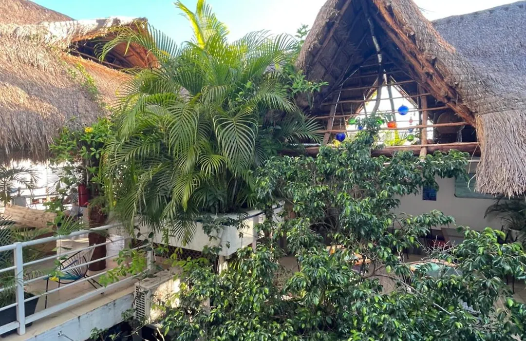 Hostelito Hotel-1