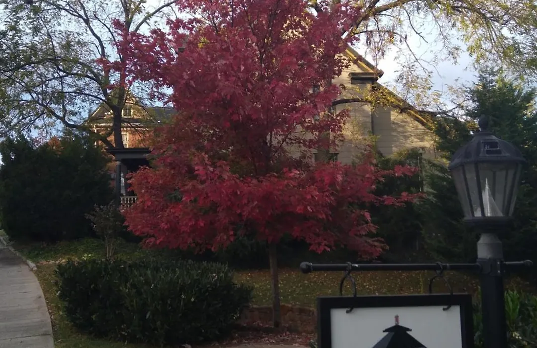 Black Lantern Inn-1