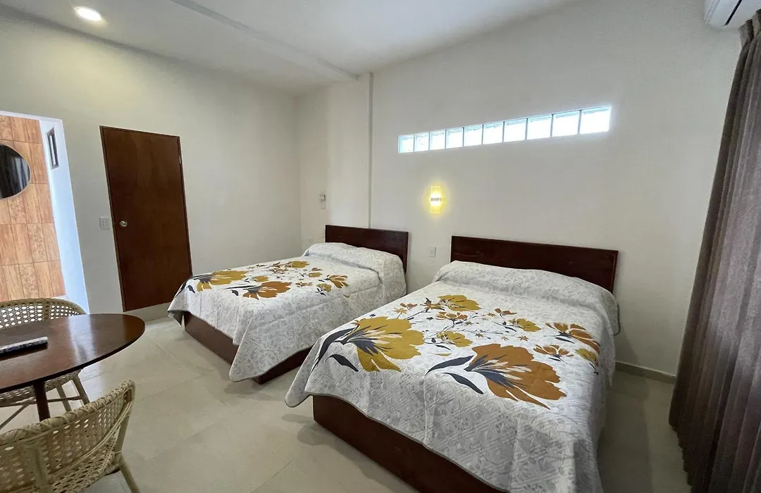 Hotel Allende-1