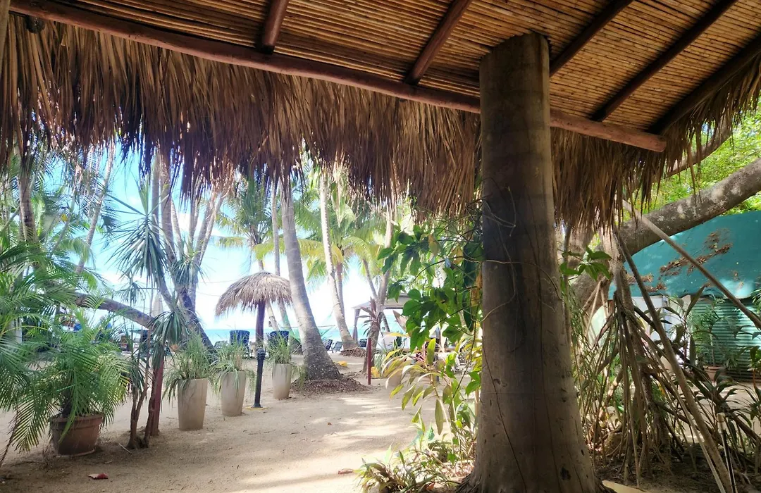 Hotel La Palapa-1