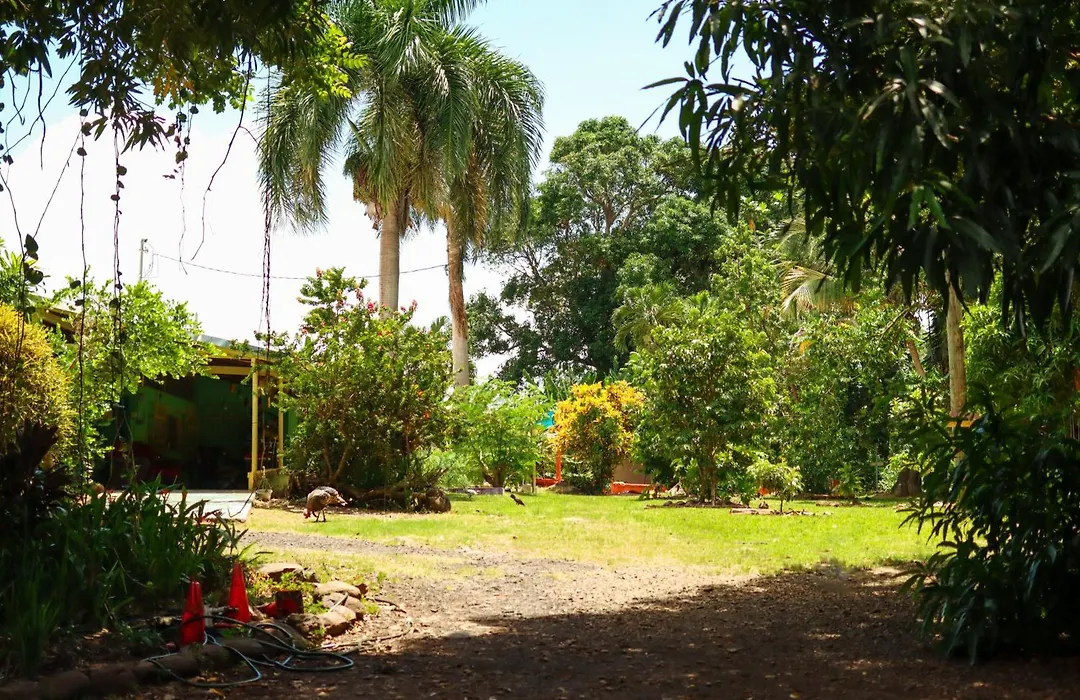 La Casa De Vida Natural-1