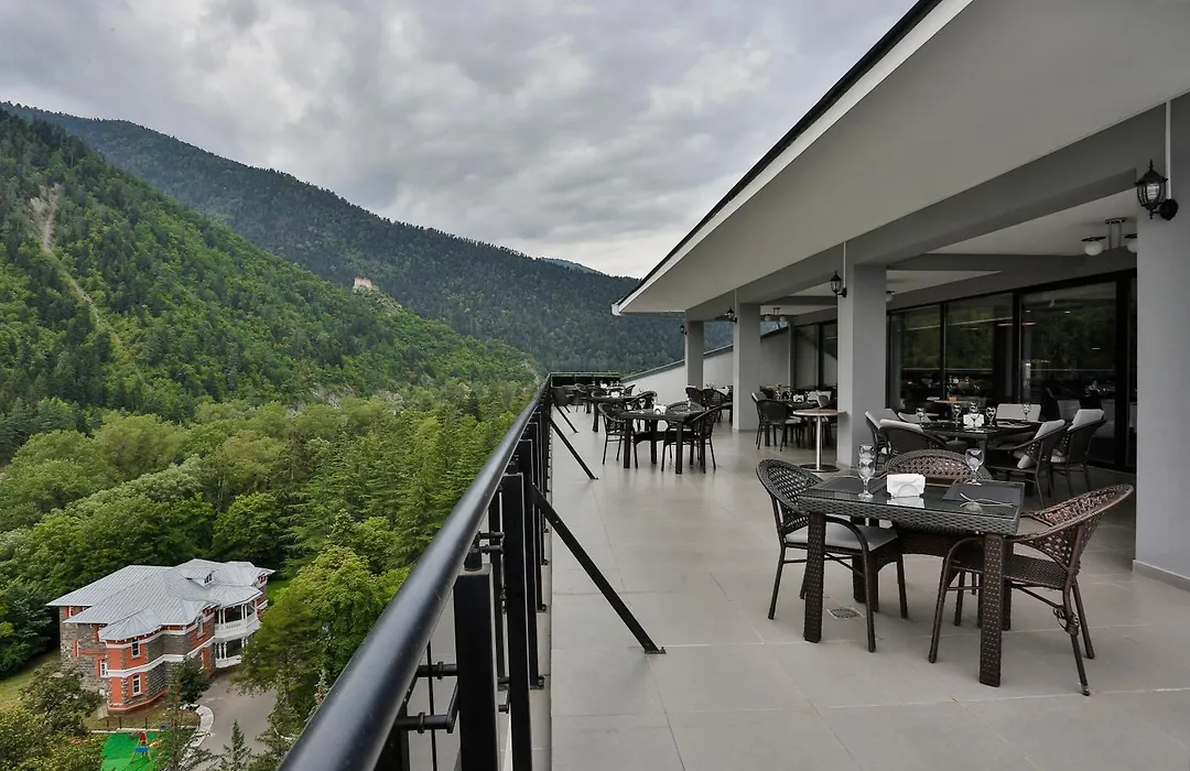 Borjomi Likani Health & Spa Centre-1