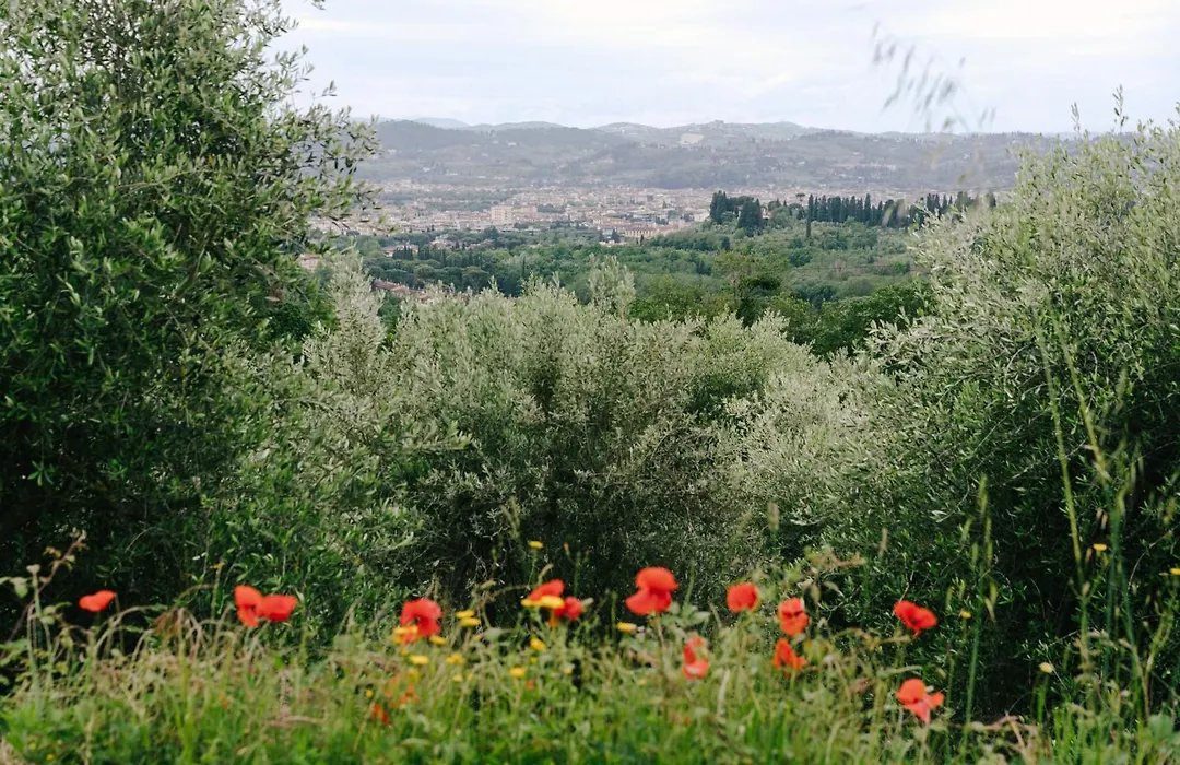Pensione Bencista-1