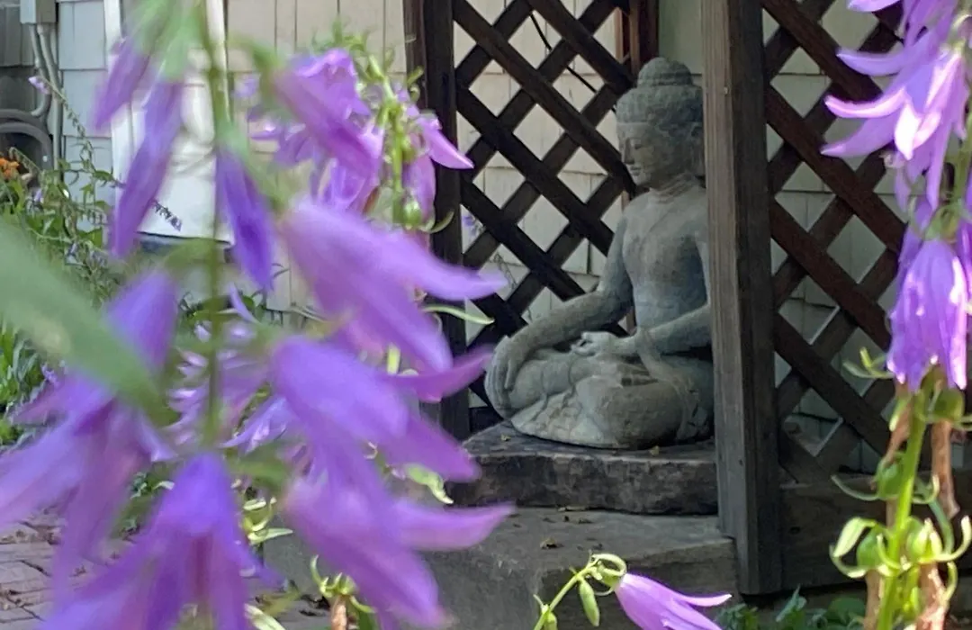 Boulder Guest House-1