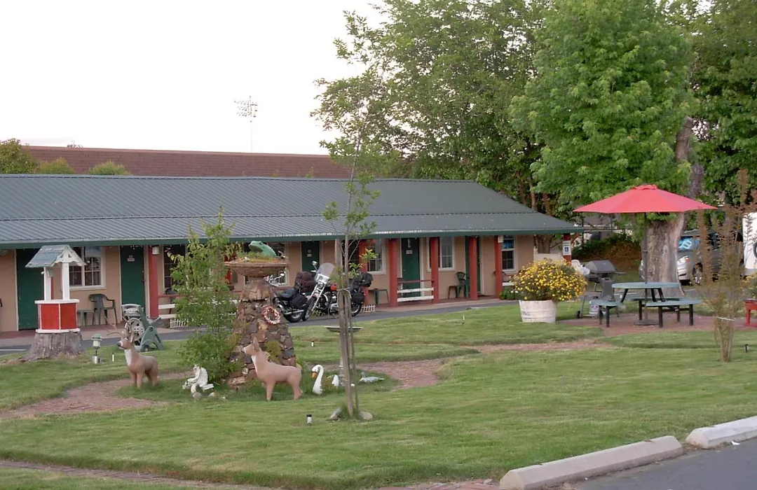 Jumping Frog Motel-1