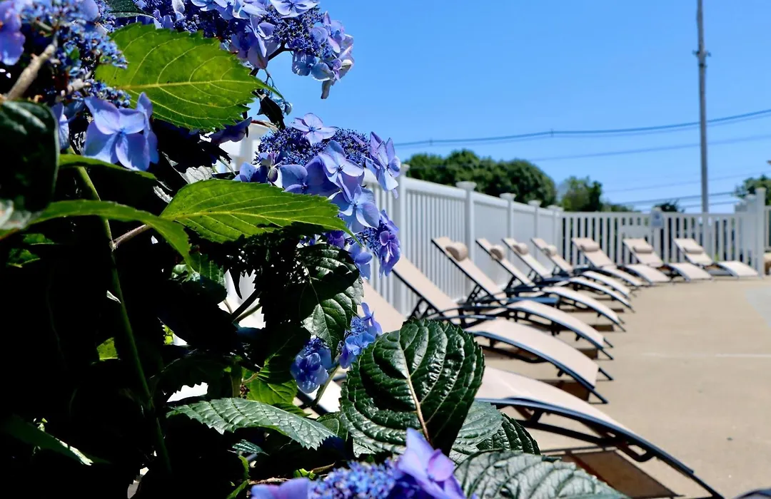Sea View Motel-1