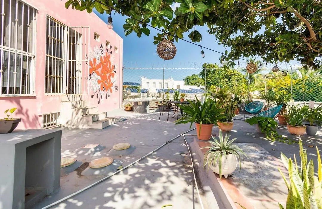 Carlota Guest House-1