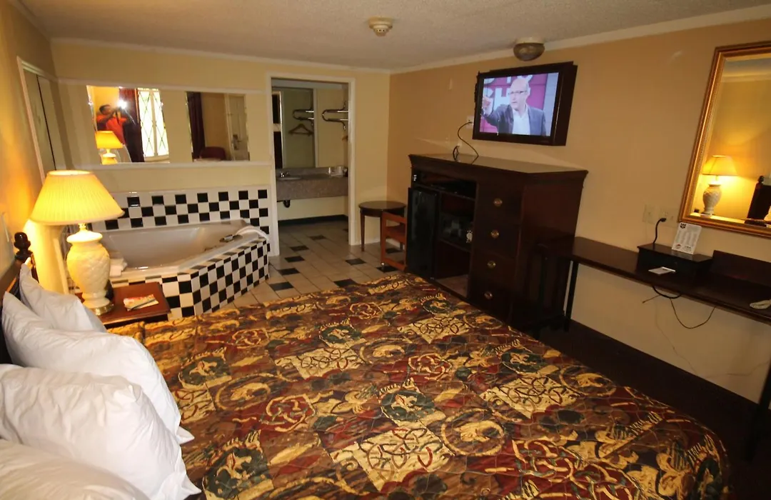 Rodeway Inn & Suites Saginaw I-675-1