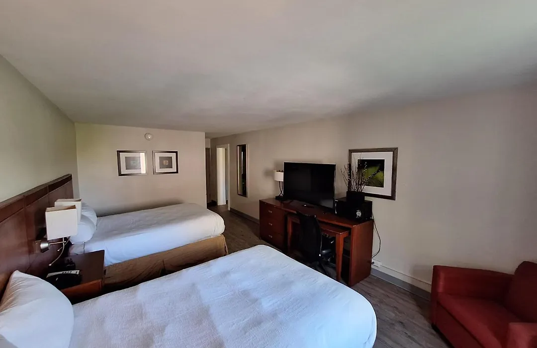 The Hotel Orange-1