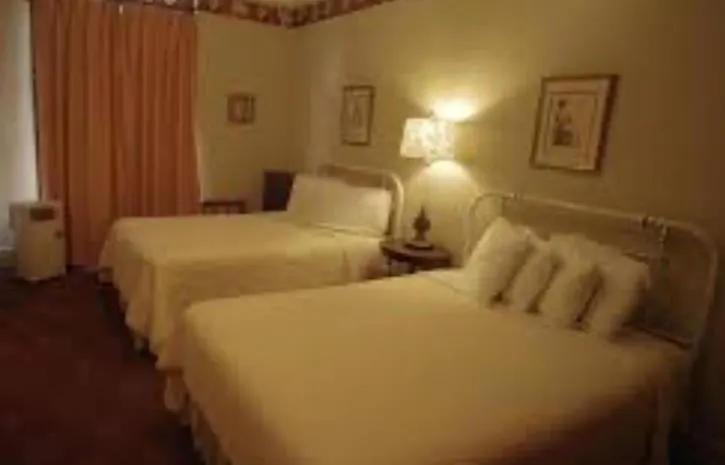 Historic Palace Hotel-1
