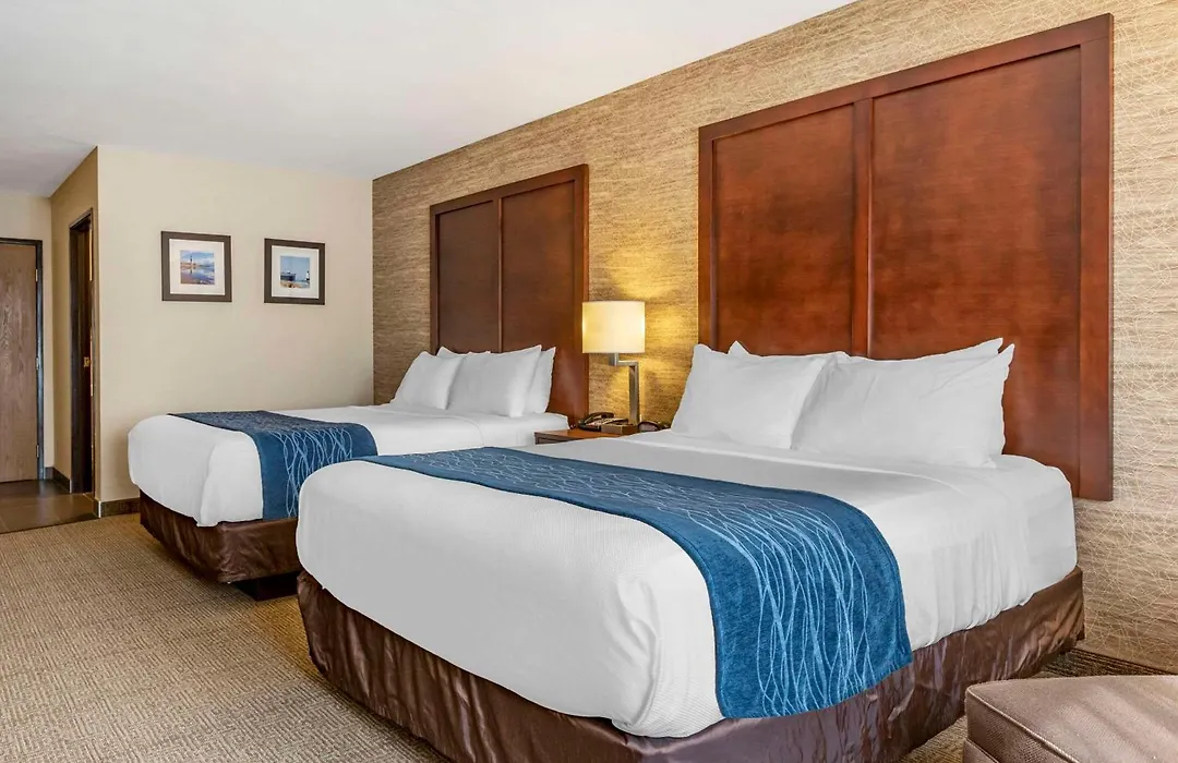 Comfort Inn & Suites Ludington Near Us-10-1