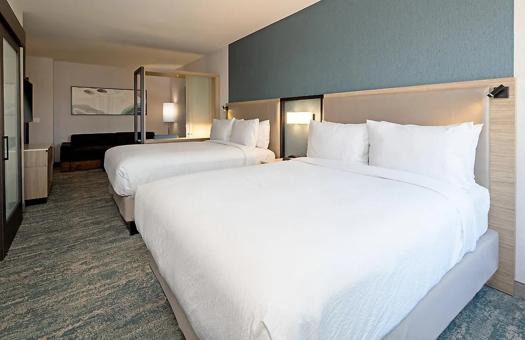 Springhill Suites By Marriott Valencia-1