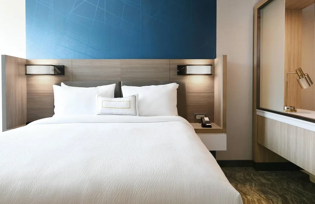 Springhill Suites Dallas Dfw Airport South/Centreport-1