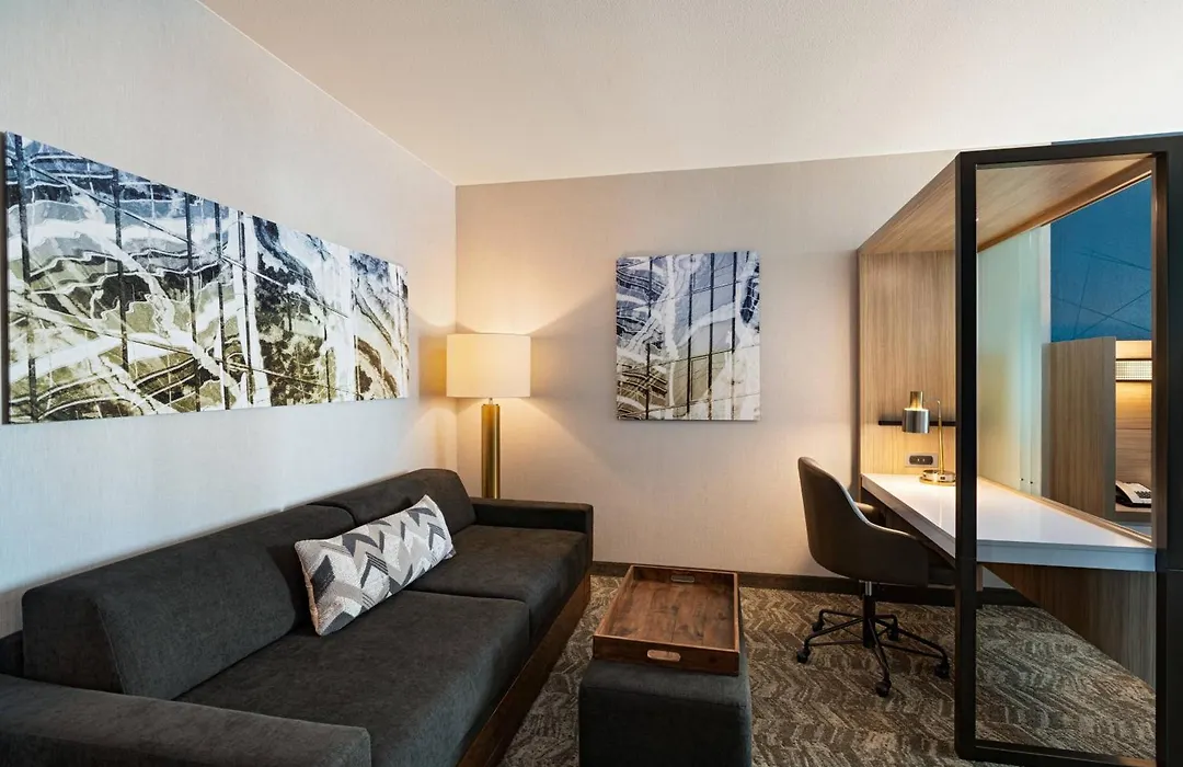 Springhill Suites By Marriott Dallas Richardson/University Area-1