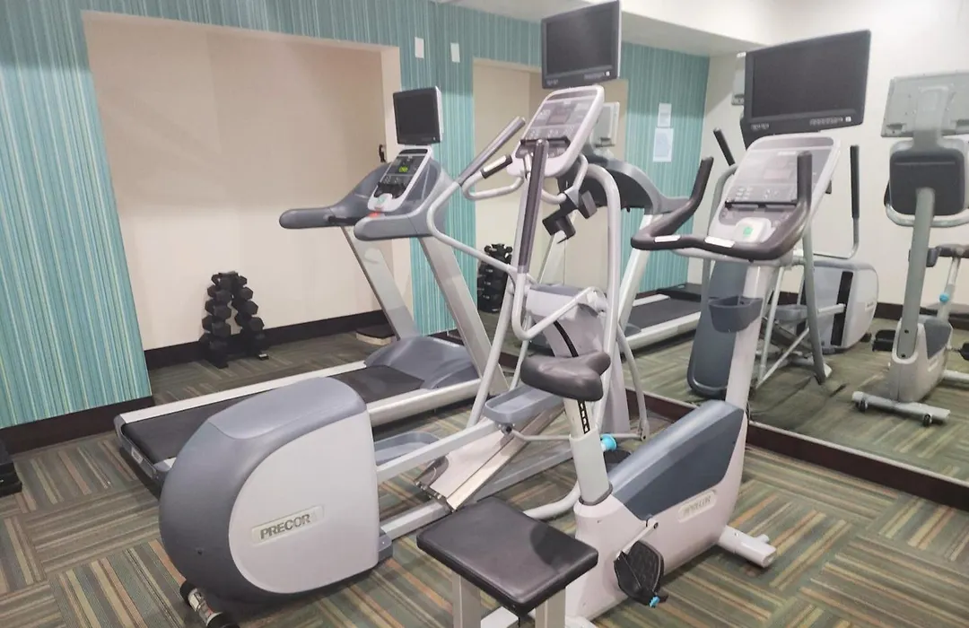 Holiday Inn Express Hotel & Suites Decatur, Tx By Ihg-1