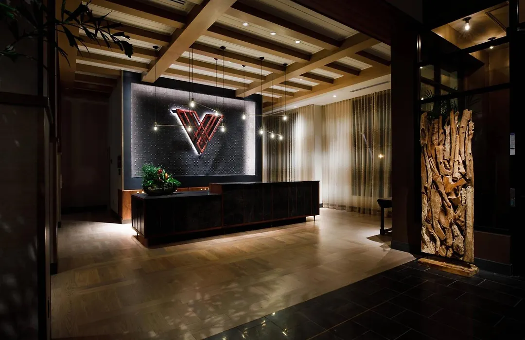 Hotel Vin, Grapevine, Autograph Collection-1
