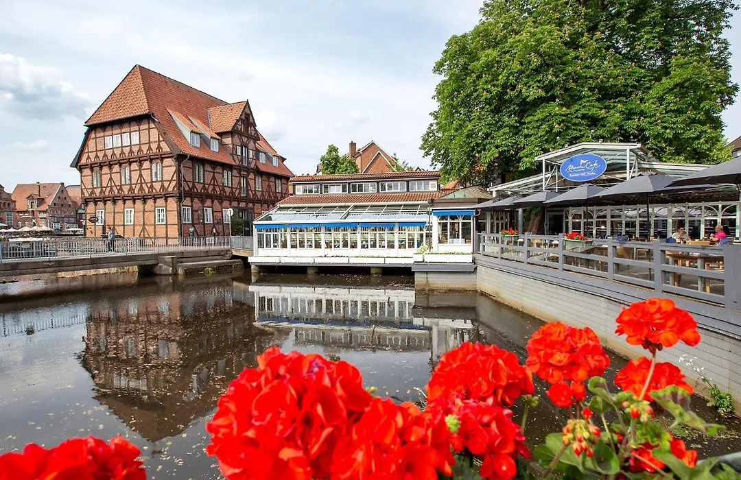 Dormero Hotel Bergstroem Lueneburg-1
