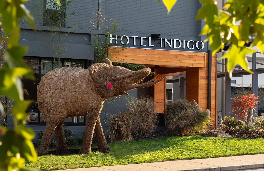 Hotel Indigo Chattanooga - Downtown By Ihg-1