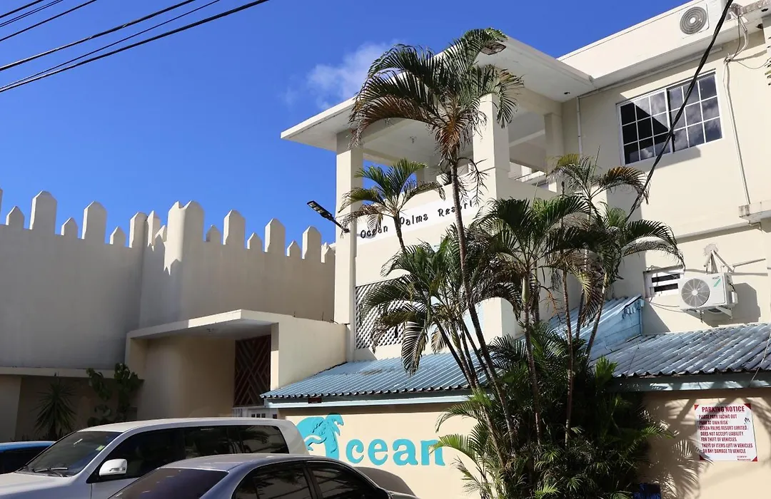 Ocean Palms-1