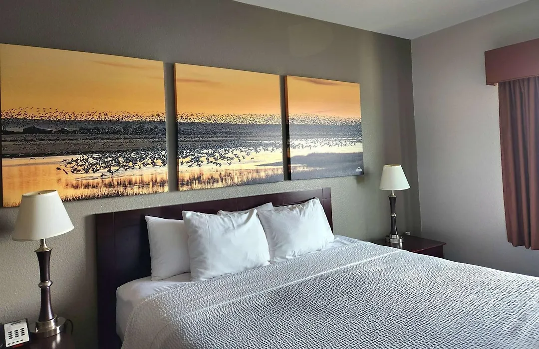 Days Inn By Wyndham Kemah-1