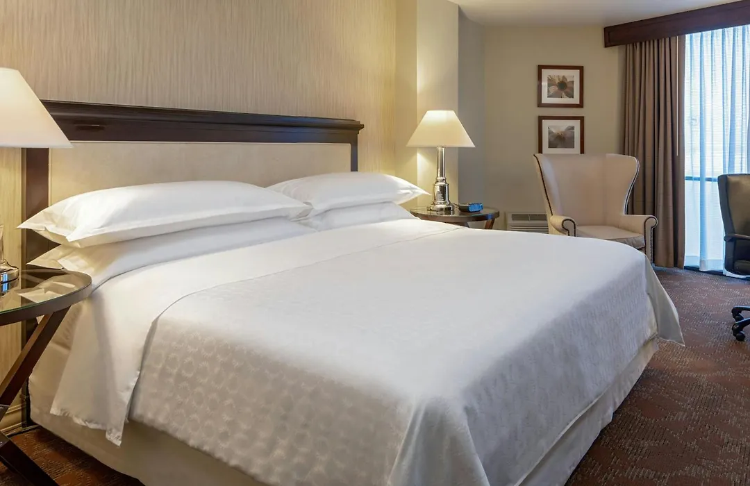 Sheraton Houston Brookhollow Hotel-1
