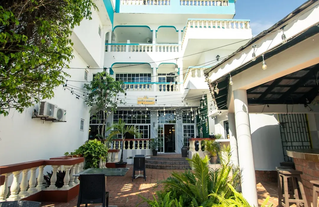 Match Resort-1