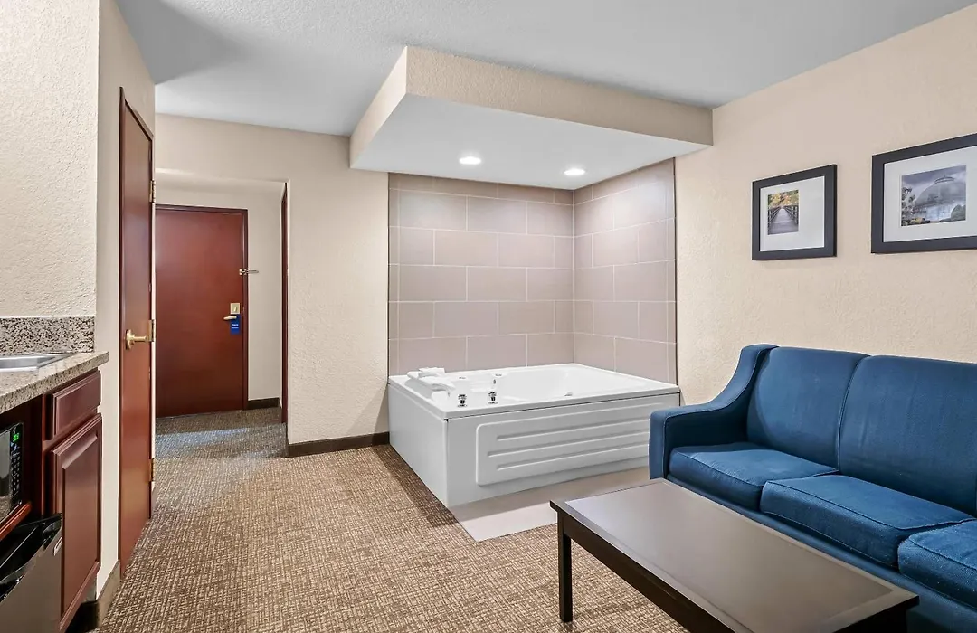 Comfort Inn & Suites Allen Park - Dearborn-1