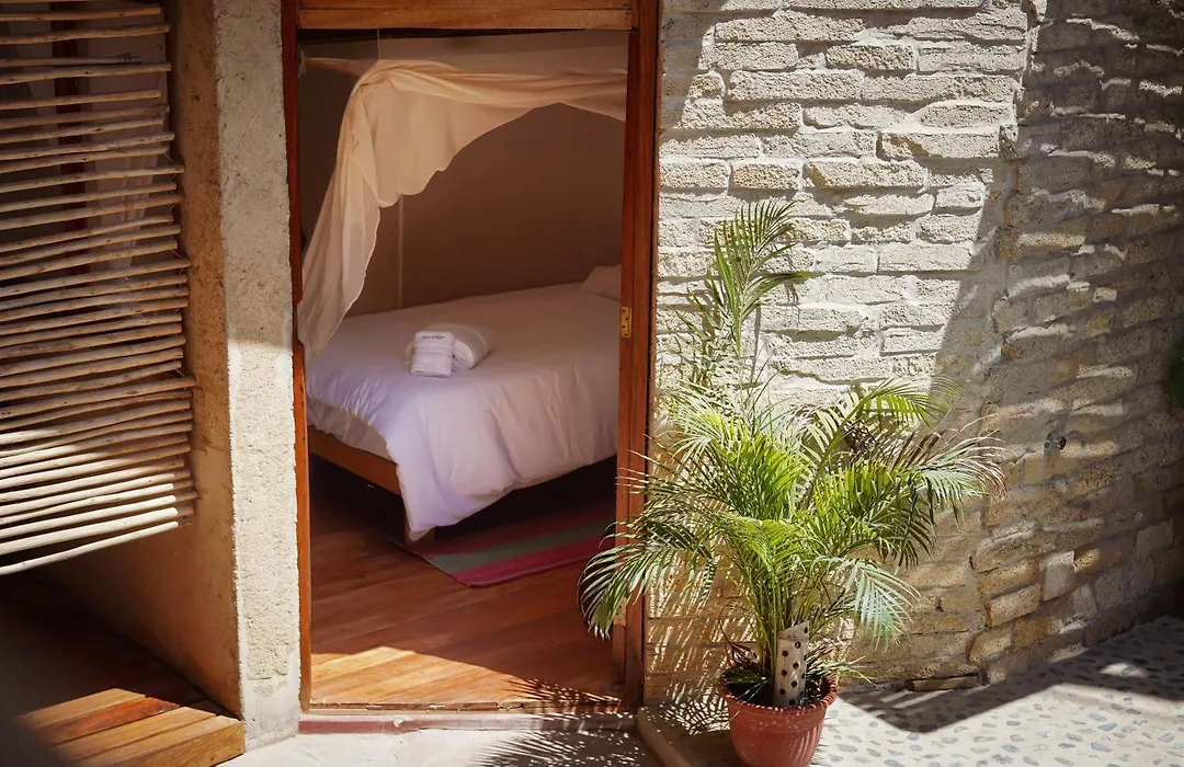 Eco Lodge Mancora-1