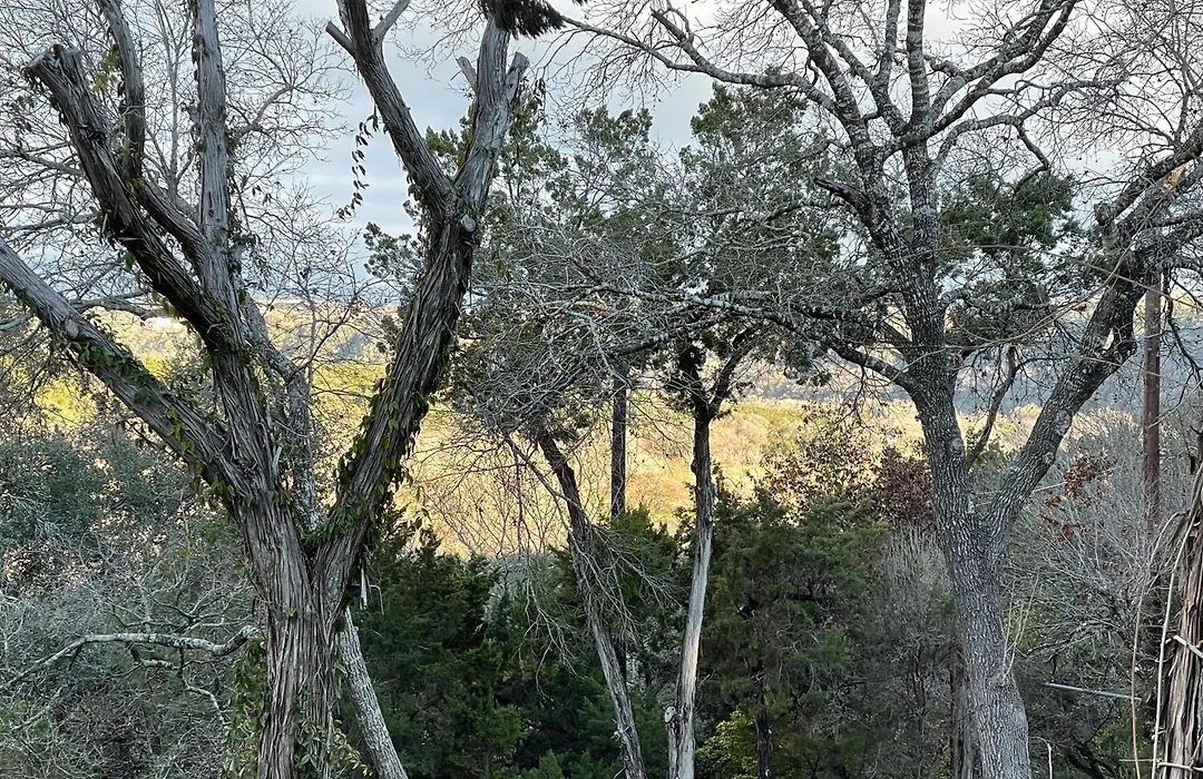 The Rivery Retreat, Choose From Luxury Guesthouse Cabin Or Poolside Suite In Lake Austin Hill Country-1